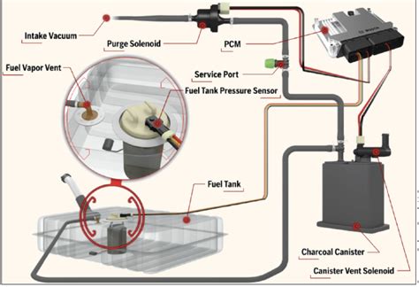 What is the EVAP system and how does it work 